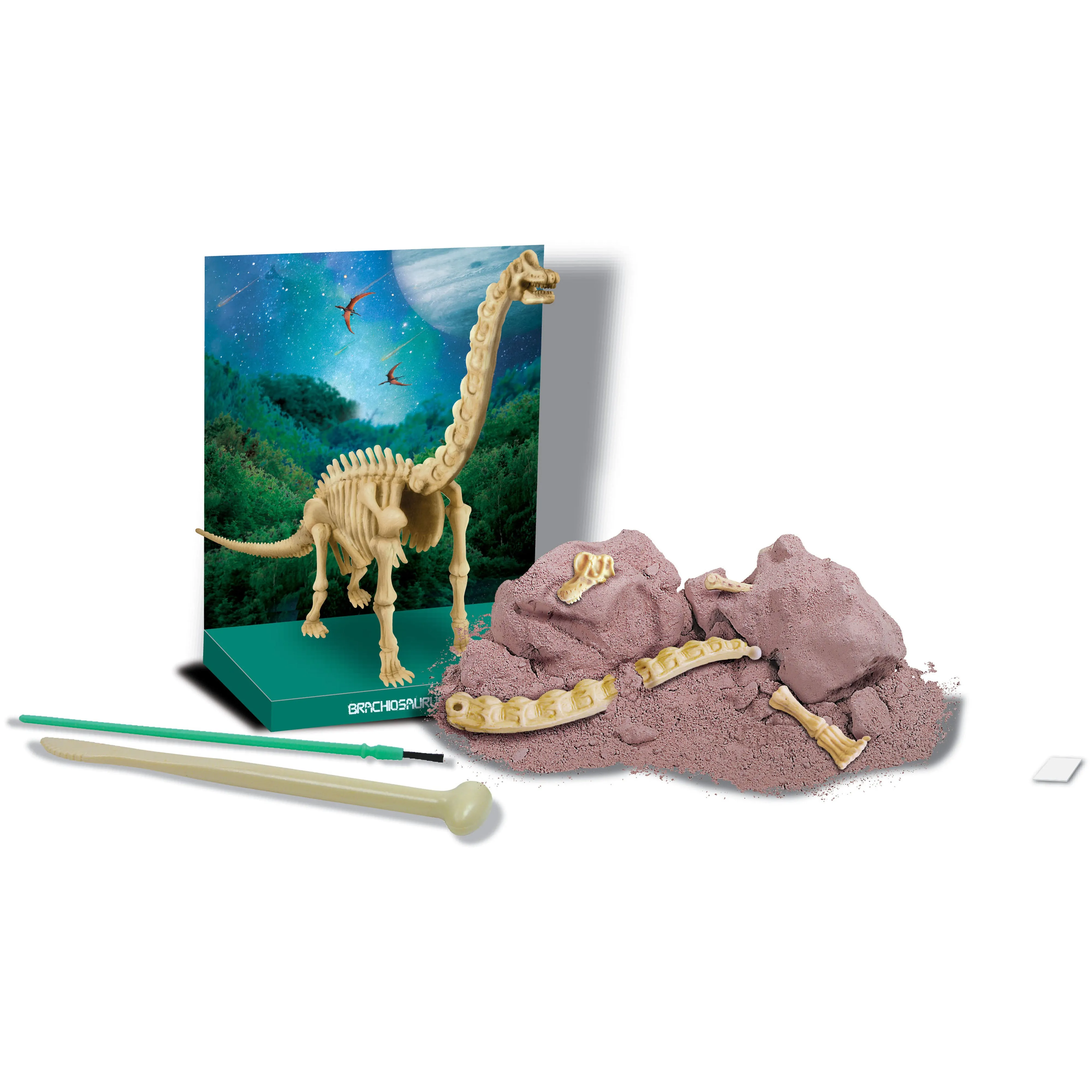 4M Kidz Labs / Brachiosaurus Skeleton Excav Kit