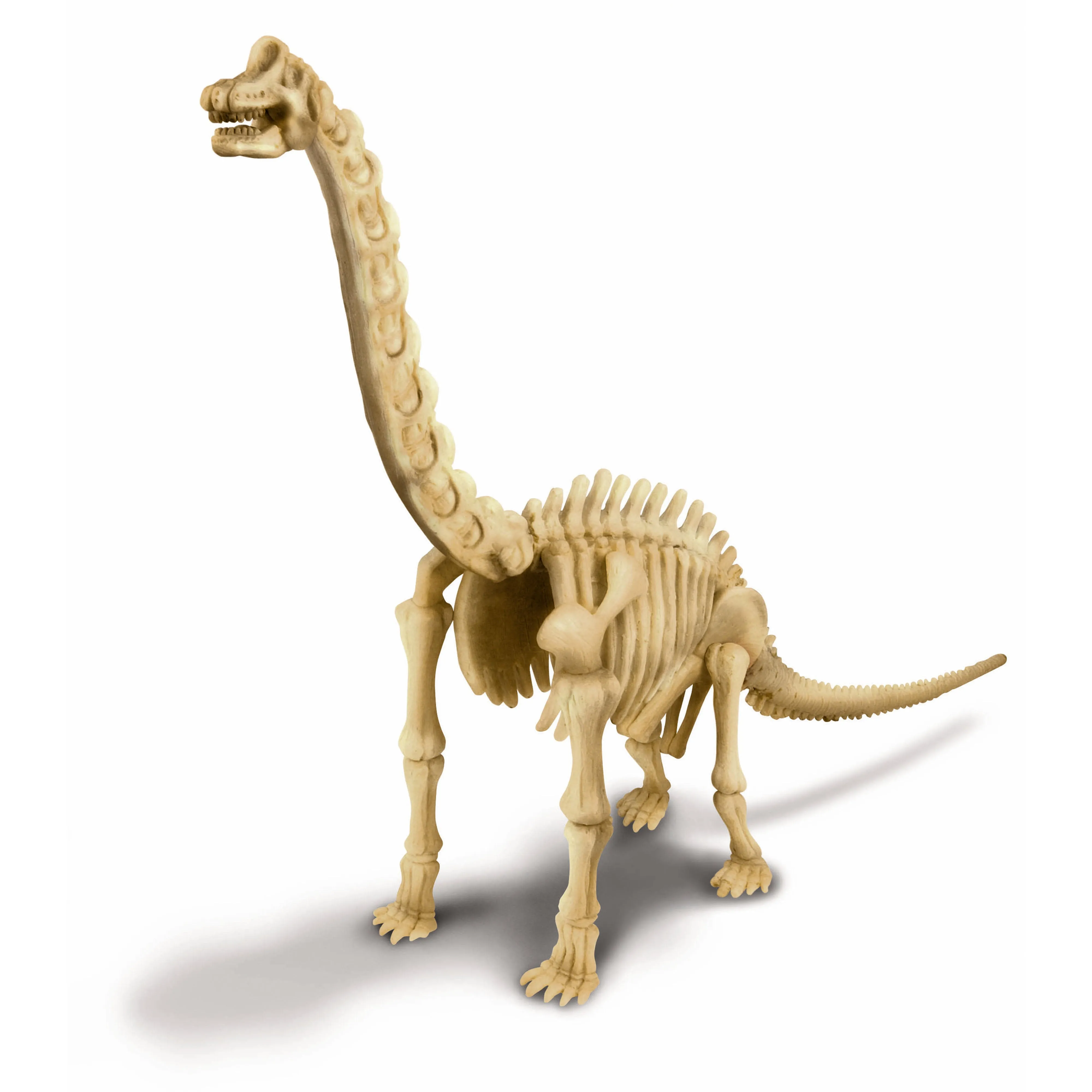 4M Kidz Labs / Brachiosaurus Skeleton Excav Kit