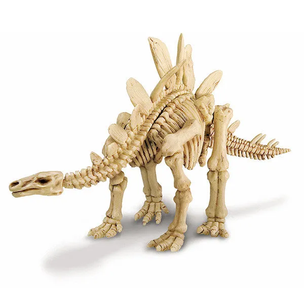 4M Kidz Labs / Stegosauras Skeleton Excav Kit