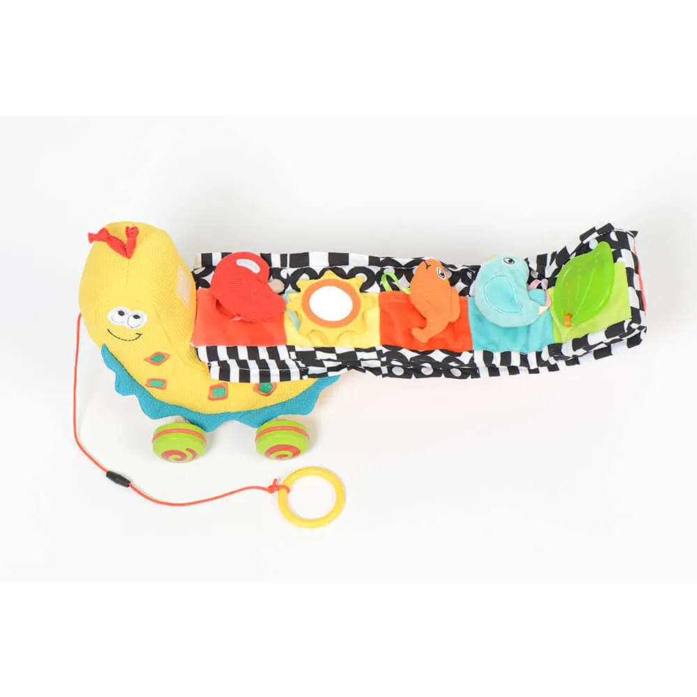 Dolce Toys Pull Along Colour Snail