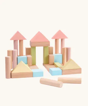 PlanToys 40 Unit Pastel Blocks