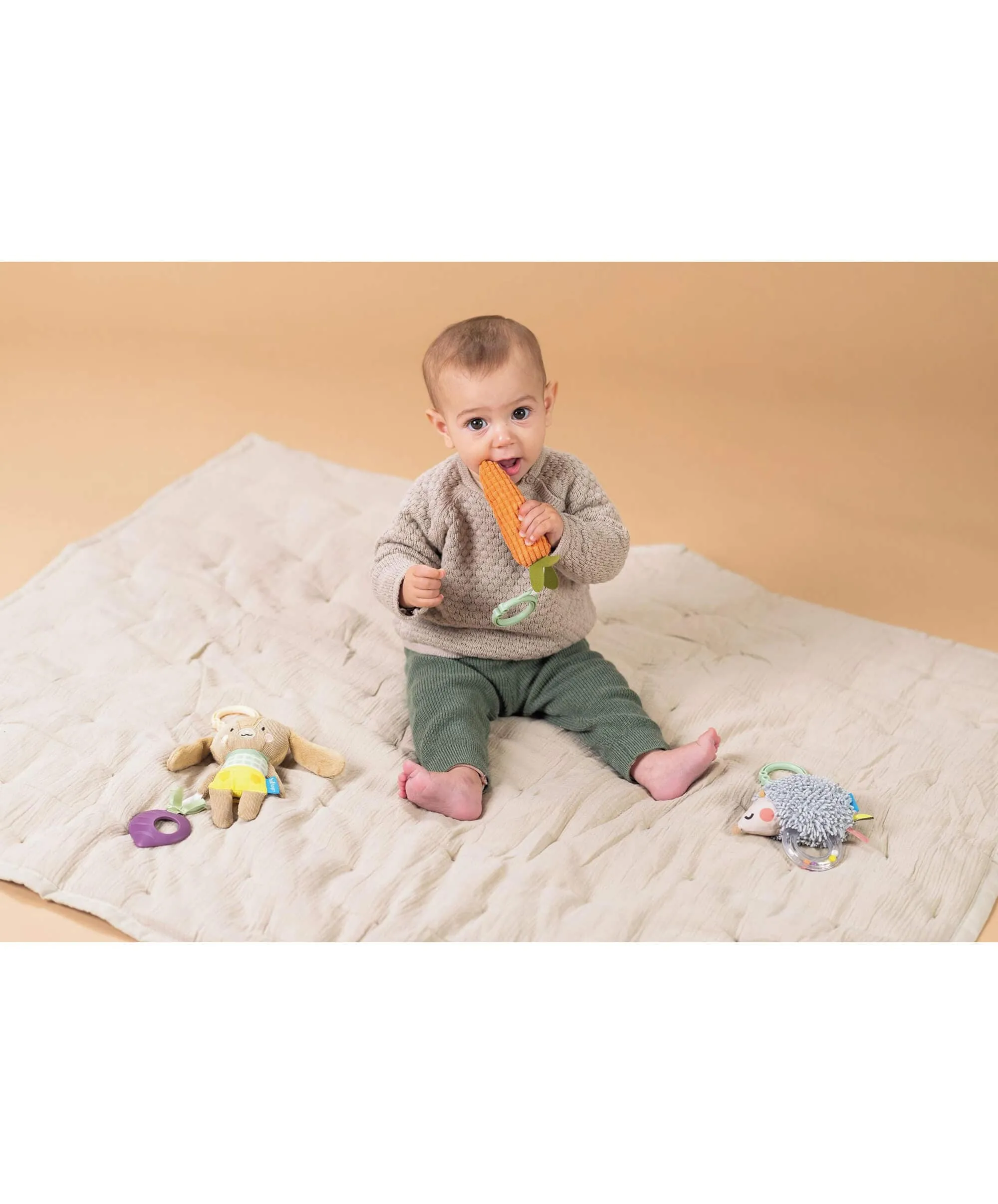 Taf Toys Baby Activity Toys Kit