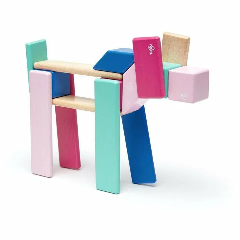 Tegu 24 Piece Magnetic Wooden Block Set: Blossom