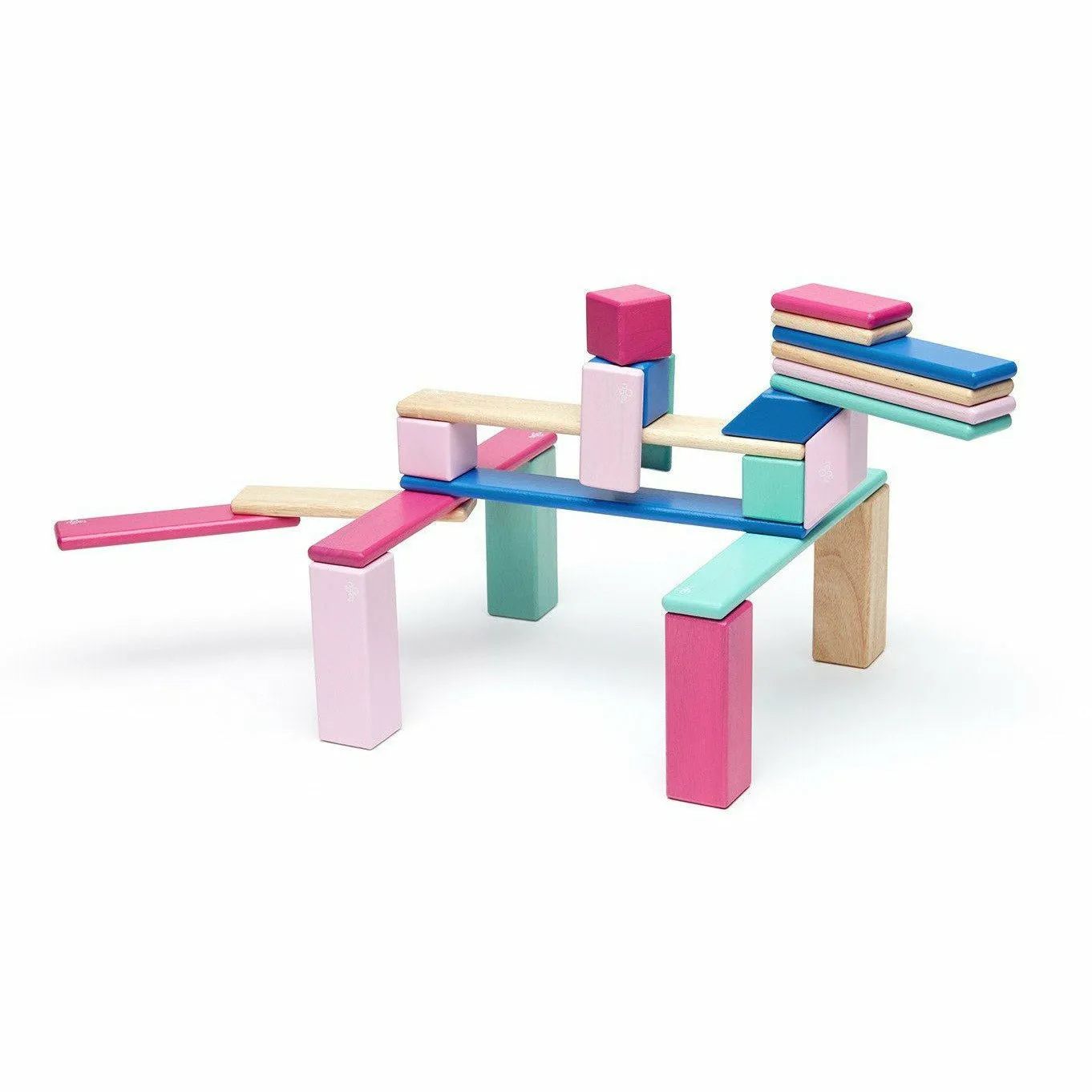 Tegu 24 Piece Magnetic Wooden Block Set: Blossom