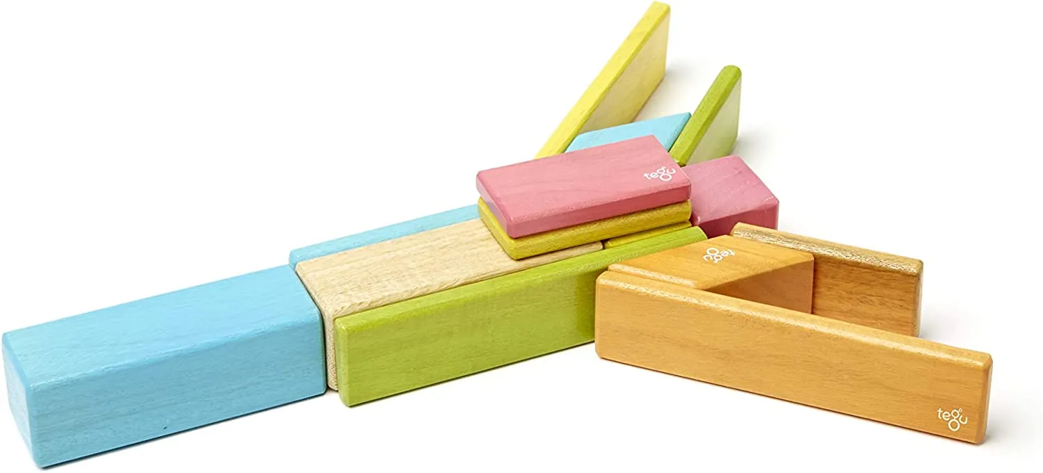 Tegu Tints 14 Piece Magnetic Wooden Blocks