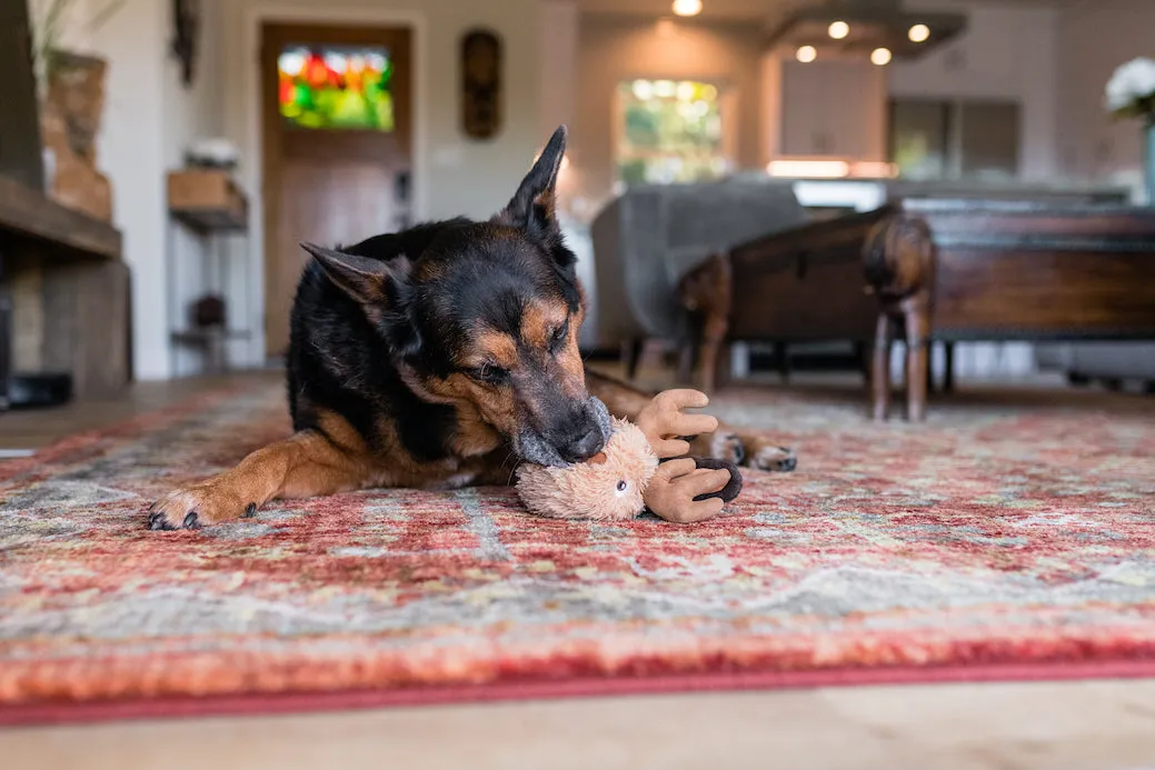 Willow’s Mythical Plush Toy Set